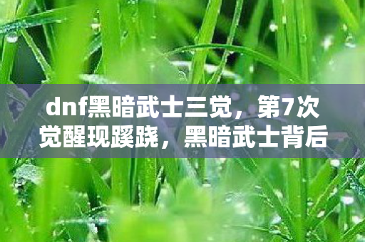 dnf黑暗武士三觉图片