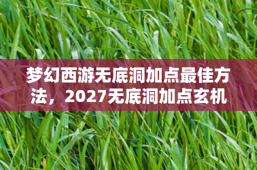 梦幻西游无底洞加点最佳方法图片