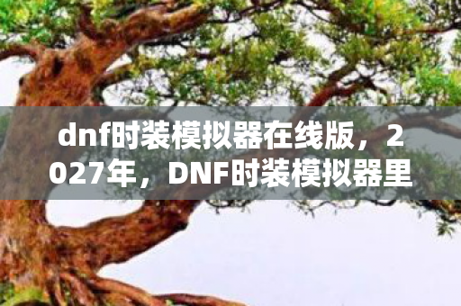 DNF时装模拟器里藏着谁未说尽的别走图片