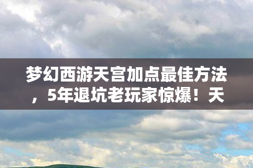 梦幻西游天宫加点最佳方法图片