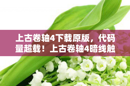 上古卷轴4暗线触发神经共振图片