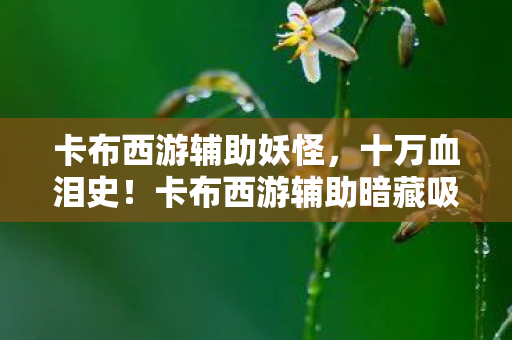 卡布西游辅助暗藏吸血陷阱图片