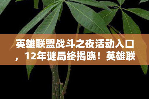 英雄联盟战斗之夜活动入口图片