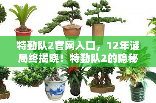 特勤队2的隐秘史诗为何让百万玩家泪目图片