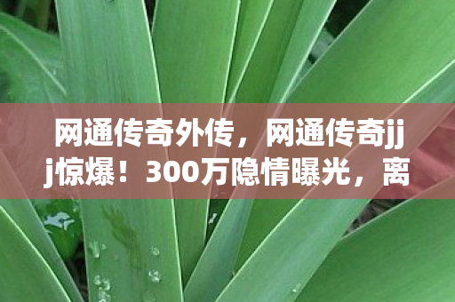 网通传奇jjj惊爆图片