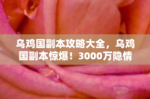 3000万隐情大揭秘图片