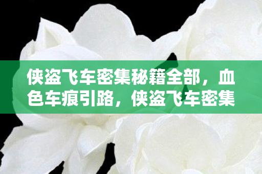 侠盗飞车密集秘籍全部图片
