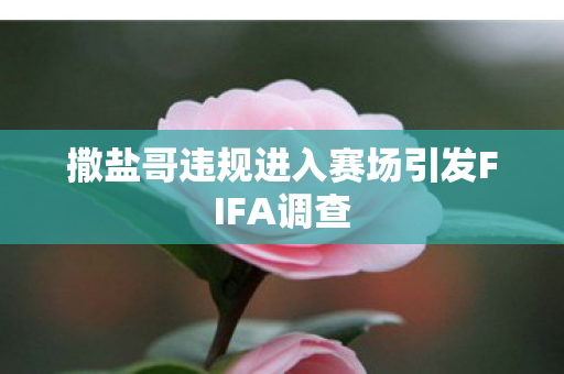 撒盐哥违规进入赛场引发FIFA调查 撒盐哥违规进入赛场引发FIFA调查
