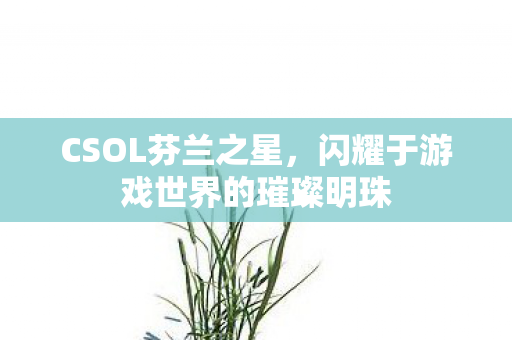 CSOL芬兰之星,闪耀于游戏世界的璀璨明珠 CSOL芬兰之星,闪耀于游戏世界的璀璨明珠