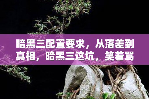 暗黑三配置要求，从落差到真相，暗黑三这坑，笑着骂完却笑着哭了