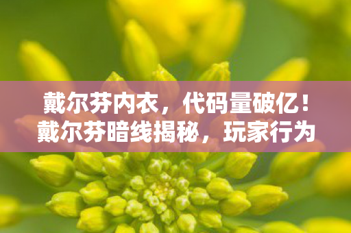 戴尔芬内衣,代码量破亿!戴尔芬暗线揭秘,玩家行为触发头皮发麻的数字叛乱 戴尔芬内衣,代码量破亿!戴尔芬暗线揭秘,玩家行为触发头皮发麻的数字叛乱