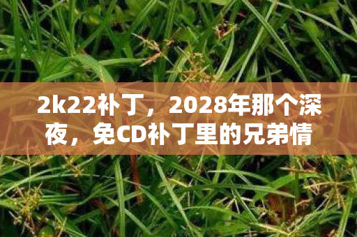 2k22补丁,2028年那个深夜,免CD补丁里的兄弟情,如今想起鼻子一酸 2k22补丁,2028年那个深夜,免CD补丁里的兄弟情,如今想起鼻子一酸
