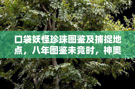 口袋妖怪珍珠图鉴及捕捉地点,八年图鉴未竟时,神奥雪原谜题终成泪目绝响 口袋妖怪珍珠图鉴及捕捉地点,八年图鉴未竟时,神奥雪原谜题终成泪目绝响