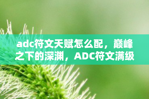 adc符文天赋怎么配，巅峰之下的深渊，ADC符文满级，人生却坠入负层