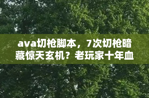 ava切枪脚本,7次切枪暗藏惊天玄机?老玩家十年血泪史揭开AVA终极真相! ava切枪脚本,7次切枪暗藏惊天玄机?老玩家十年血泪史揭开AVA终极真相!