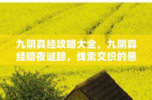 九阴真经攻略大全，九阴真经暗夜谜踪，线索交织的悬案，毛骨悚然真相待揭！