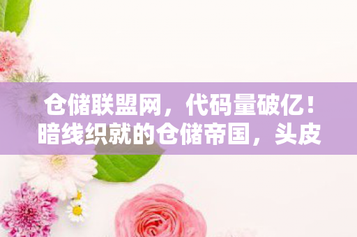 仓储联盟网,代码量破亿!暗线织就的仓储帝国,头皮发麻的生存法则 仓储联盟网,代码量破亿!暗线织就的仓储帝国,头皮发麻的生存法则