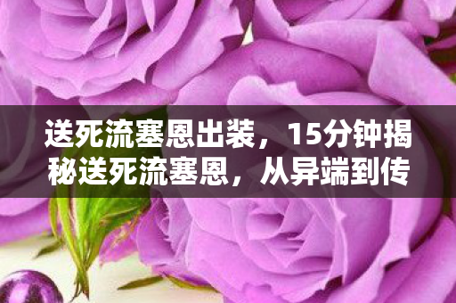 送死流塞恩出装,15分钟揭秘送死流塞恩,从异端到传奇的泪目征程 送死流塞恩出装,15分钟揭秘送死流塞恩,从异端到传奇的泪目征程