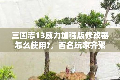三国志13威力加强版修改器怎么使用?,百名玩家齐聚揭秘!三国志13修改器疑点重重,大神都绷不住了! 三国志13威力加强版修改器怎么使用?,百名玩家齐聚揭秘!三国志13修改器疑点重重,大神都绷不住了!