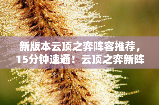 新版本云顶之弈阵容推荐,15分钟速通!云顶之弈新阵容谜面,当眼泪成为最后筹码 新版本云顶之弈阵容推荐,15分钟速通!云顶之弈新阵容谜面,当眼泪成为最后筹码