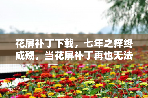 花屏补丁下载，七年之痒终成殇，当花屏补丁再也无法修复我们的青春
