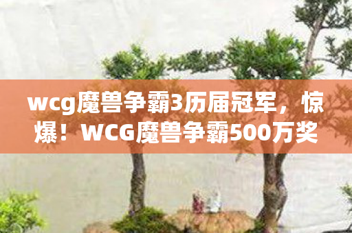 wcg魔兽争霸3历届冠军，惊爆！WCG魔兽争霸500万奖金背后隐情，真相曝光让人吓一跳！