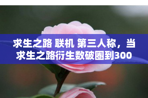 求生之路 联机 第三人称，当求生之路衍生数破圈到300+，我的钱包竟以意想不到方式阵亡！