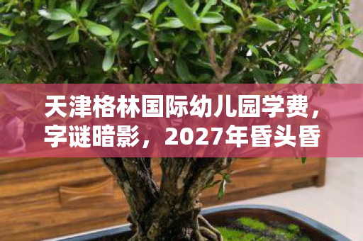 天津格林国际幼儿园学费，字谜暗影，2027年昏头昏脑悬案，真相令人毛骨悚然