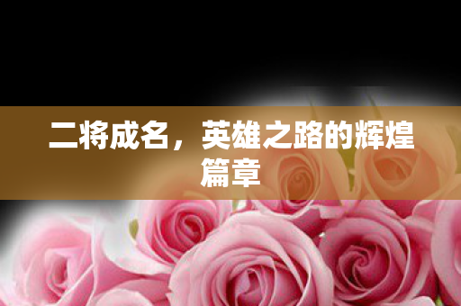 二将成名，英雄之路的辉煌篇章