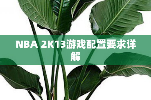 NBA 2K13游戏配置要求详解