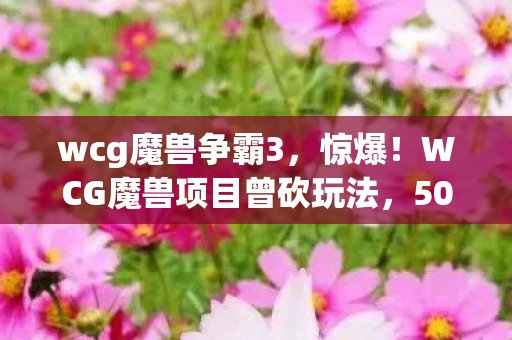 wcg魔兽争霸3，惊爆！WCG魔兽项目曾砍玩法，500万预算背后隐情让人吓一跳！