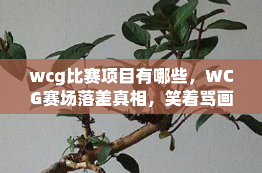wcg比赛项目有哪些,WCG赛场落差真相,笑着骂画面烂,笑着笑着,却因情怀哭了 wcg比赛项目有哪些,WCG赛场落差真相,笑着骂画面烂,笑着笑着,却因情怀哭了