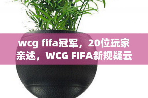 wcg fifa冠军，20位玩家亲述，WCG FIFA新规疑云，这操作谁能绷得住？