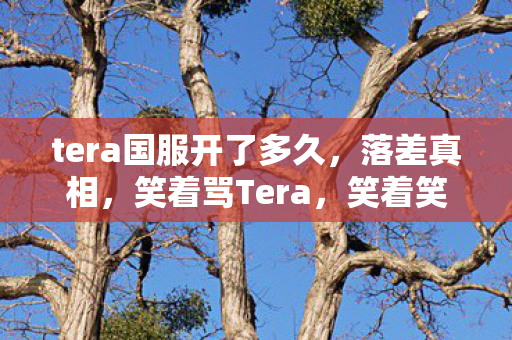 tera国服开了多久,落差真相,笑着骂Tera,笑着笑着哭了——公测遥遥无期,我却还在等 tera国服开了多久,落差真相,笑着骂Tera,笑着笑着哭了——公测遥遥无期,我却还在等