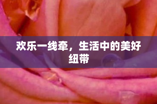 欢乐一线牵，生活中的美好纽带