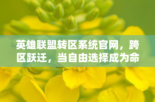 英雄联盟转区系统官网,跨区跃迁,当自由选择成为命运枷锁的灵魂震颤悖论 英雄联盟转区系统官网,跨区跃迁,当自由选择成为命运枷锁的灵魂震颤悖论