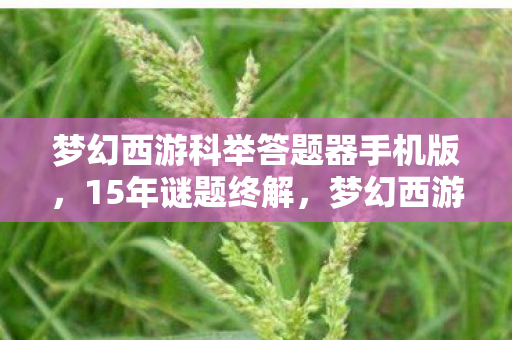 梦幻西游科举答题器手机版,15年谜题终解,梦幻西游科举答题器背后的时光密码,泪目! 梦幻西游科举答题器手机版,15年谜题终解,梦幻西游科举答题器背后的时光密码,泪目!