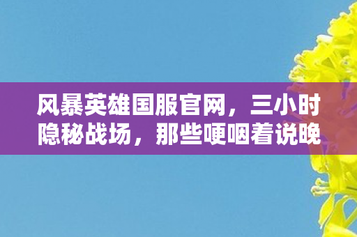 风暴英雄国服官网,三小时隐秘战场,那些哽咽着说晚安的夜晚,如今只剩空荡的泉水 风暴英雄国服官网,三小时隐秘战场,那些哽咽着说晚安的夜晚,如今只剩空荡的泉水