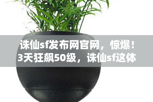 诛仙sf发布网官网，惊爆！3天狂飙50级，诛仙sf这体验让我彻底破防了！