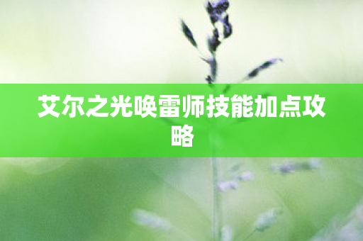 艾尔之光唤雷师技能加点攻略 艾尔之光唤雷师技能加点攻略