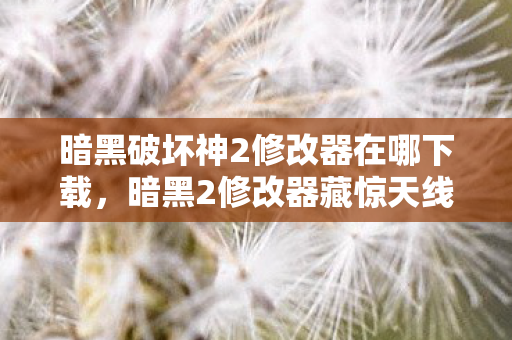 暗黑破坏神2修改器在哪下载，暗黑2修改器藏惊天线索，悬案背后毛骨悚然真相待解