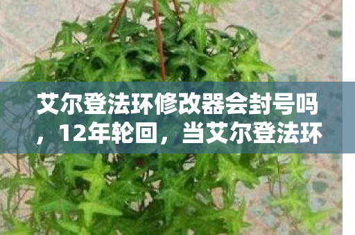 艾尔登法环修改器会封号吗,12年轮回,当艾尔登法环修改器成为数字墓碑,泪目见证魂系终章 艾尔登法环修改器会封号吗,12年轮回,当艾尔登法环修改器成为数字墓碑,泪目见证魂系终章