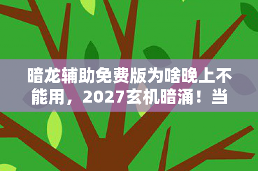 暗龙辅助免费版为啥晚上不能用,2027玄机暗涌!当暗龙辅助的沉默成为人生抉择的密码 暗龙辅助免费版为啥晚上不能用,2027玄机暗涌!当暗龙辅助的沉默成为人生抉择的密码