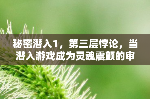秘密潜入1,第三层悖论,当潜入游戏成为灵魂震颤的审判场 秘密潜入1,第三层悖论,当潜入游戏成为灵魂震颤的审判场