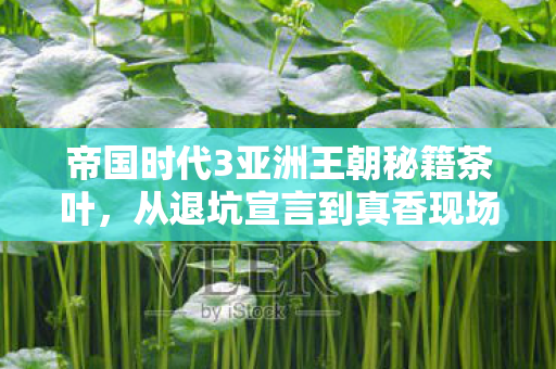 帝国时代3亚洲王朝秘籍茶叶,从退坑宣言到真香现场,真相揭晓,笑着笑着就哭了 帝国时代3亚洲王朝秘籍茶叶,从退坑宣言到真香现场,真相揭晓,笑着笑着就哭了