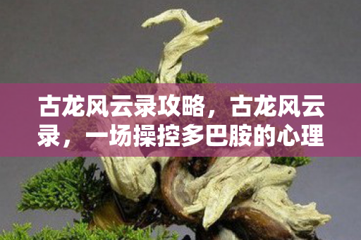 古龙风云录攻略，古龙风云录，一场操控多巴胺的心理实验，沉迷背后细思极恐