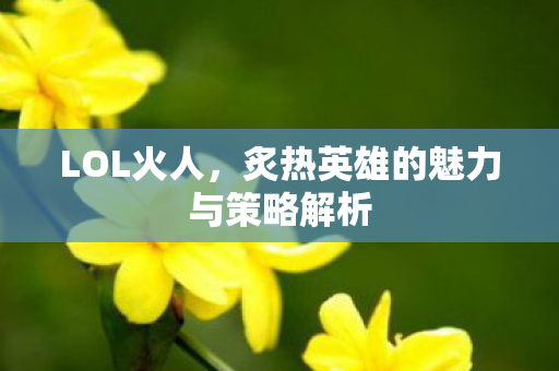 LOL火人，炙热英雄的魅力与策略解析