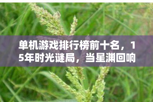 单机游戏排行榜前十名,15年时光谜局,当星渊回响的服务器在2035年熄灭时,全球玩家泪目了 单机游戏排行榜前十名,15年时光谜局,当星渊回响的服务器在2035年熄灭时,全球玩家泪目了