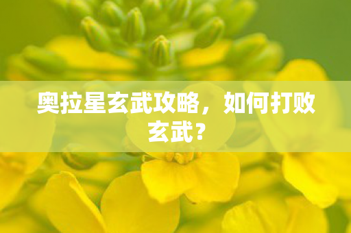 奥拉星玄武攻略,如何打败玄武? 奥拉星玄武攻略,如何打败玄武?