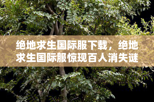绝地求生国际服下载，绝地求生国际服惊现百人消失谜团！氪金大佬集体破防真相竟是……